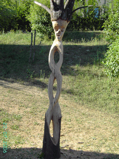 Reginald Osuji Njemanze